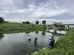 On-site investigation of the nearby riverine with receiving effluent from Electronic Industry