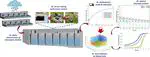 Optimal discharge protocol for urban stormwater settling tank across different scenarios under limited data aided with Monte-Carlo simulation incorporated mathematical model